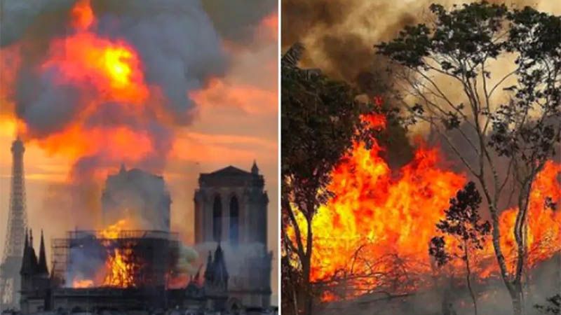 Alarma mundial por los incendios en el Amazonas: &ldquo;Preocupan y afectan al mundo entero&rdquo;