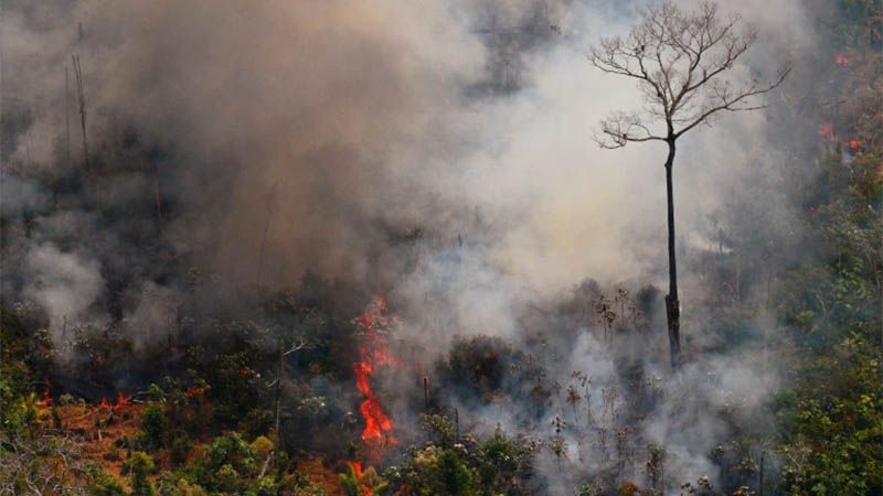 Bolsonaro autoriza movilizaci&oacute;n de tropas contra incendios en la Amazon&iacute;a