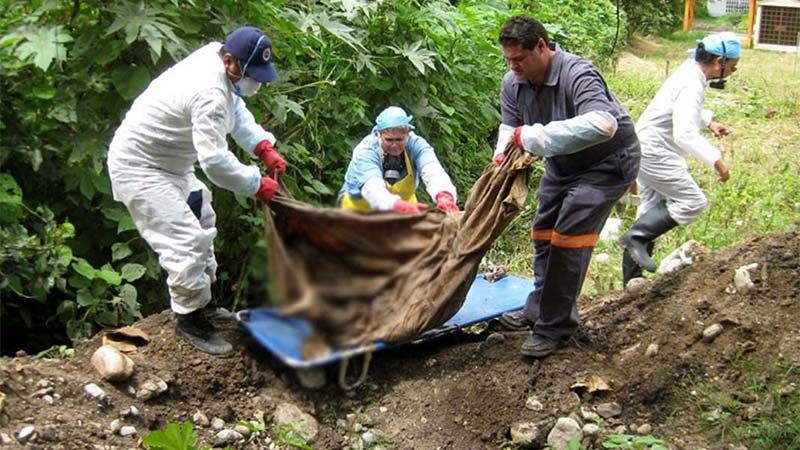 Encuentran en Jalisco restos humanos en una fosa clandestina que pertenecen a 50 personas