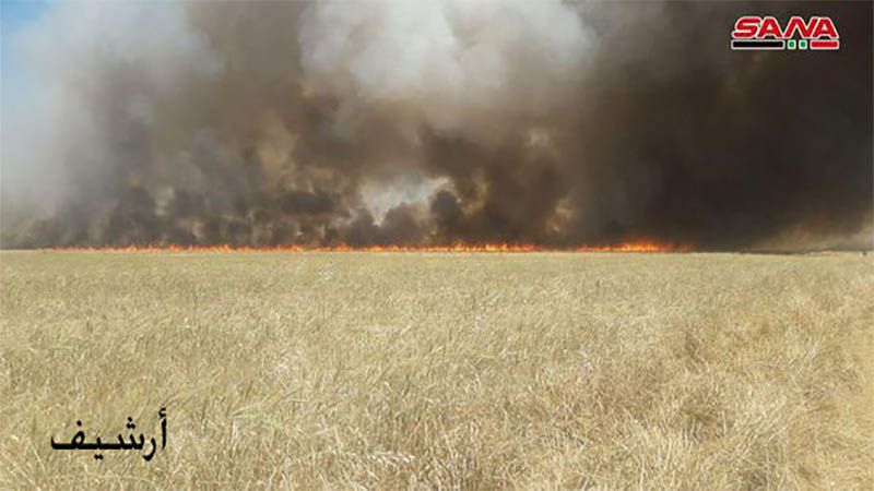 La ocupaci&oacute;n estadounidense en Siria provoca incendios en zonas agr&iacute;colas