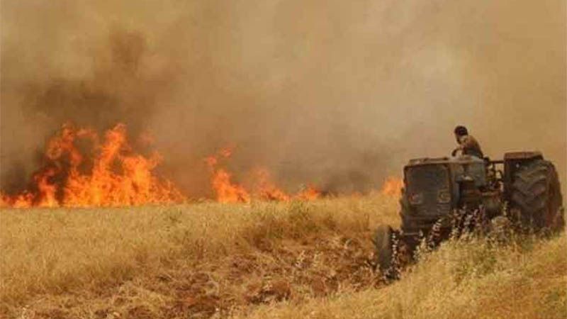 Trump ordena quemar los cultivos de trigo en Siria