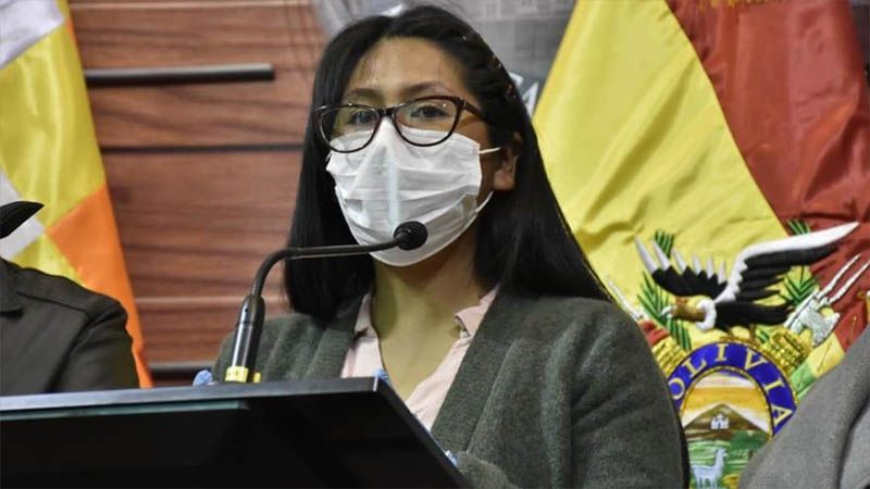 Senado de Bolivia aprueba medidas contra COVID-19 tras inacci&oacute;n de &Aacute;&ntilde;ez