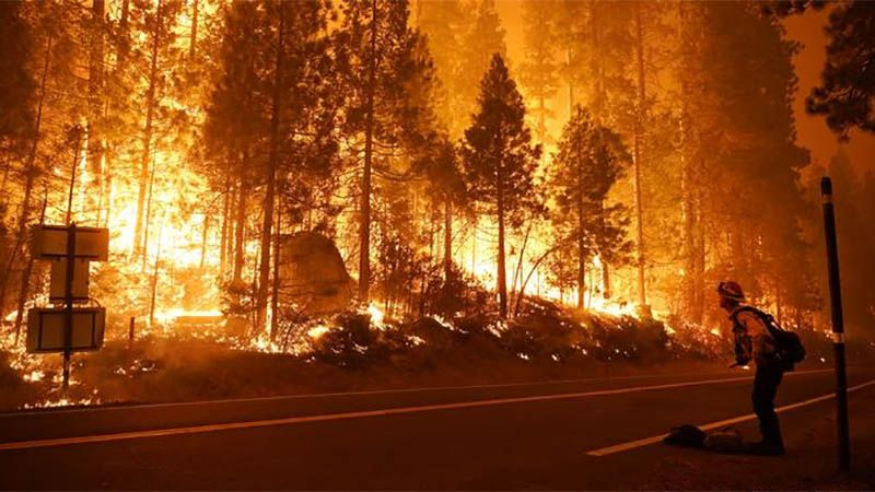 Declaran una emergencia en cinco condados de California por incendios forestales