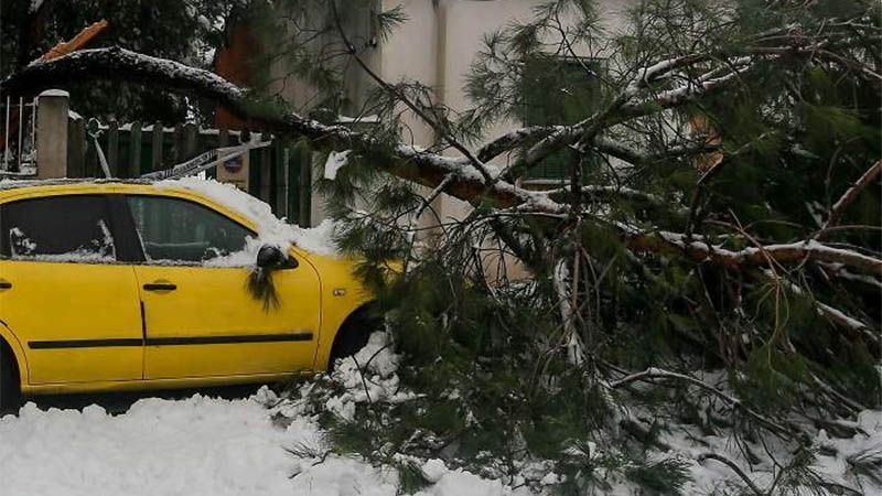 El Gobierno de Espa&ntilde;a declara zona catastr&oacute;fica los territorios afectados por el temporal Filomena