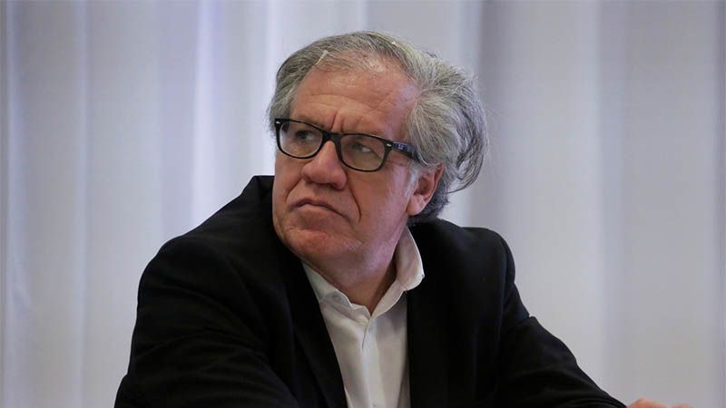 Bolivia: Almagro debe renunciar de la OEA o ser&aacute; echado