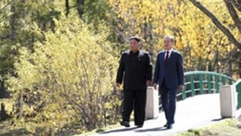 Corea del Norte y el Sur restablecen canales de comunicaci&oacute;n