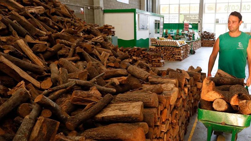 Los pa&iacute;ses europeos vuelven a los viejos tiempos con la creciente demanda de le&ntilde;a