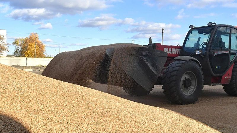 Rusia confirma la pr&oacute;rroga del pacto alimentario