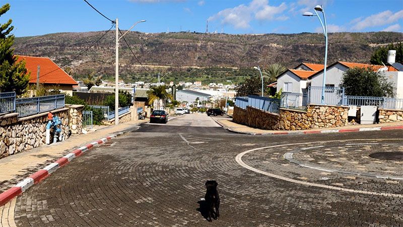 Nasrol&aacute; asegura que los colonos israel&iacute;es no podr&aacute;n regresar si no cesa la ofensiva en Gaza