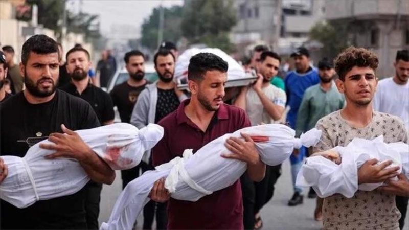 El ej&eacute;rcito de ocupaci&oacute;n israel&iacute; asesin&oacute; a m&aacute;s de 2100 lactantes palestinos en Gaza