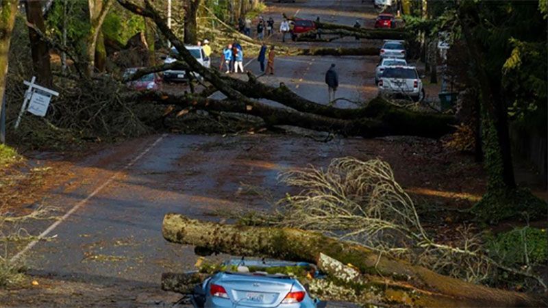 Cicl&oacute;n bomba deja a medio mill&oacute;n sin electricidad en Washington