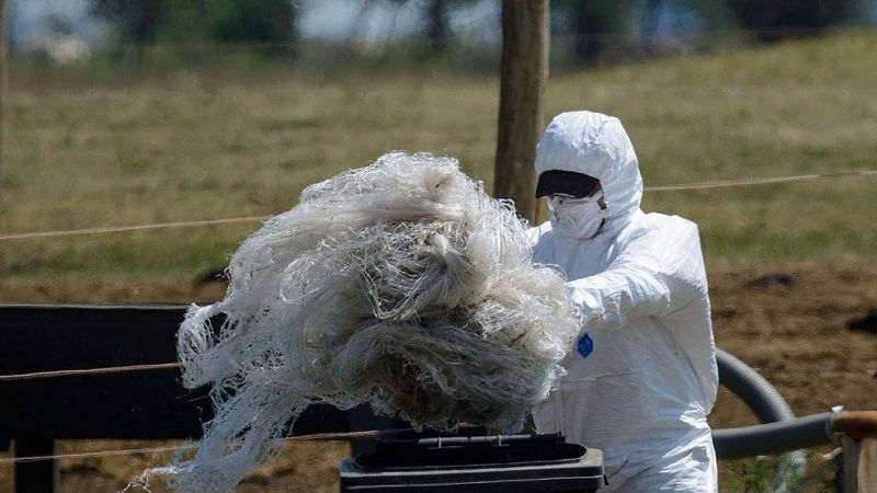 Muere una persona tras registrarse un brote de &aacute;ntrax en la conflictiva provincia congole&ntilde;a de Kivu Norte