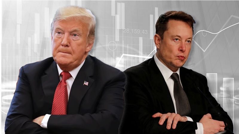 Musk a Trump: Sin m&iacute; habr&iacute;a perdido las elecciones