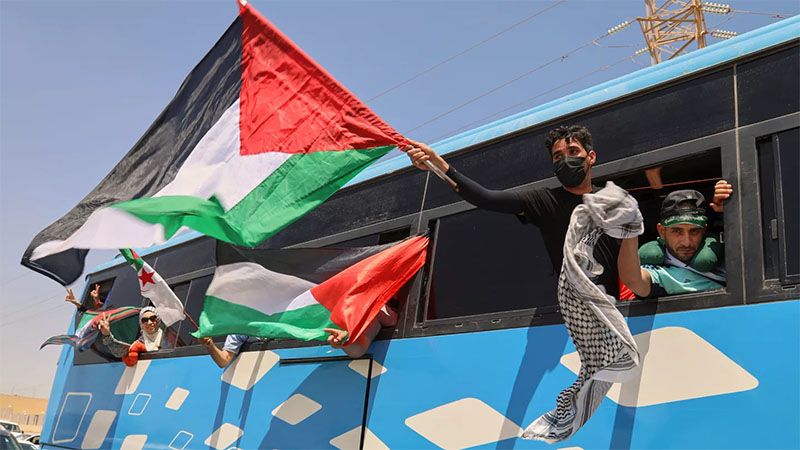 Organizadores de la Marcha a Gaza exigen la liberaci&oacute;n de activistas detenidos en Egipto