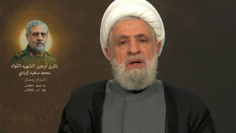 L&iacute;der de Hezbol&aacute; aboga por la unidad nacional frente a las agresiones israel&iacute;es