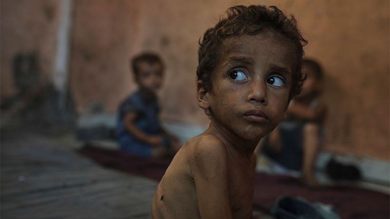 Las muertes por hambre en Gaza se disparan en agosto con 185, m&aacute;s de la mitad del total