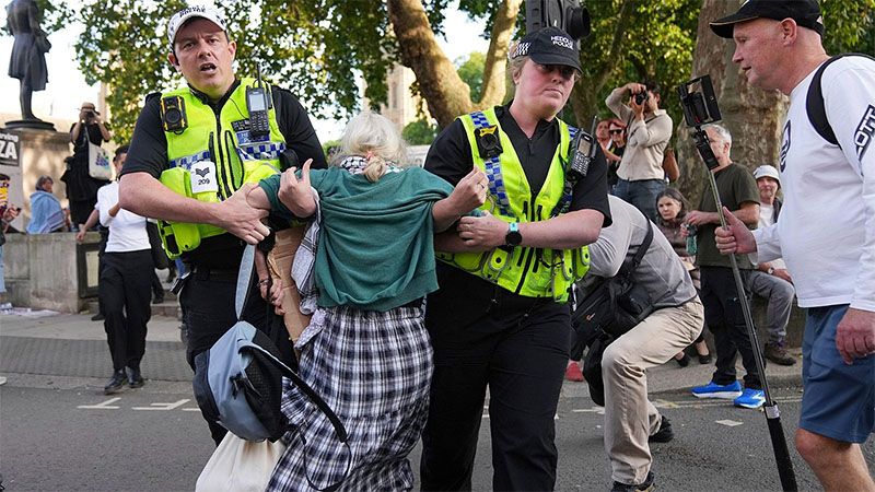 M&aacute;s de 400 detenidos en una manifestaci&oacute;n de apoyo en Londres a un grupo propalestino