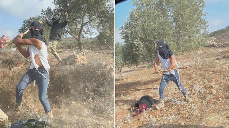 Colonos israel&iacute;es atacan brutalmente a agricultores palestinos en Cisjordania