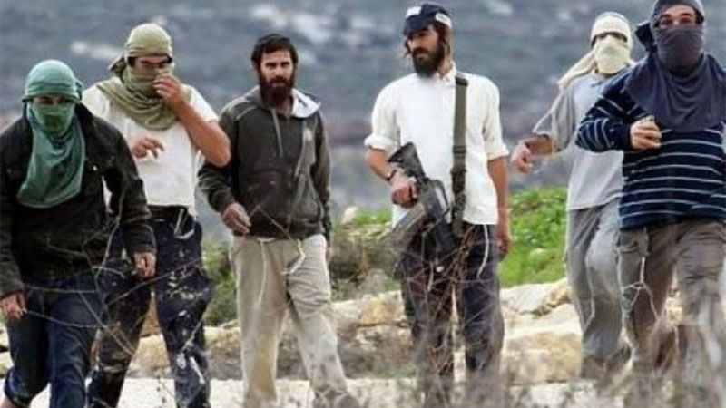 Diez heridos, entre ellos una mujer con un disparo, en un ataque de colonos cerca de Bel&eacute;n