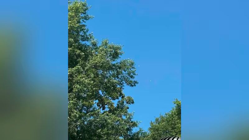 Un avi&oacute;n de entrenamiento de la Fuerza A&eacute;rea se estrella en EEUU