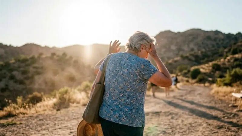 La ola de calor de junio en Alemania caus&oacute; m&aacute;s de 4.300 muertes, seg&uacute;n el Instituto Koch