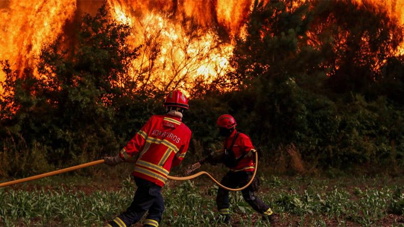 Miles de personas evacuadas por devastadores incendios en Italia, Francia y Espa&ntilde;a